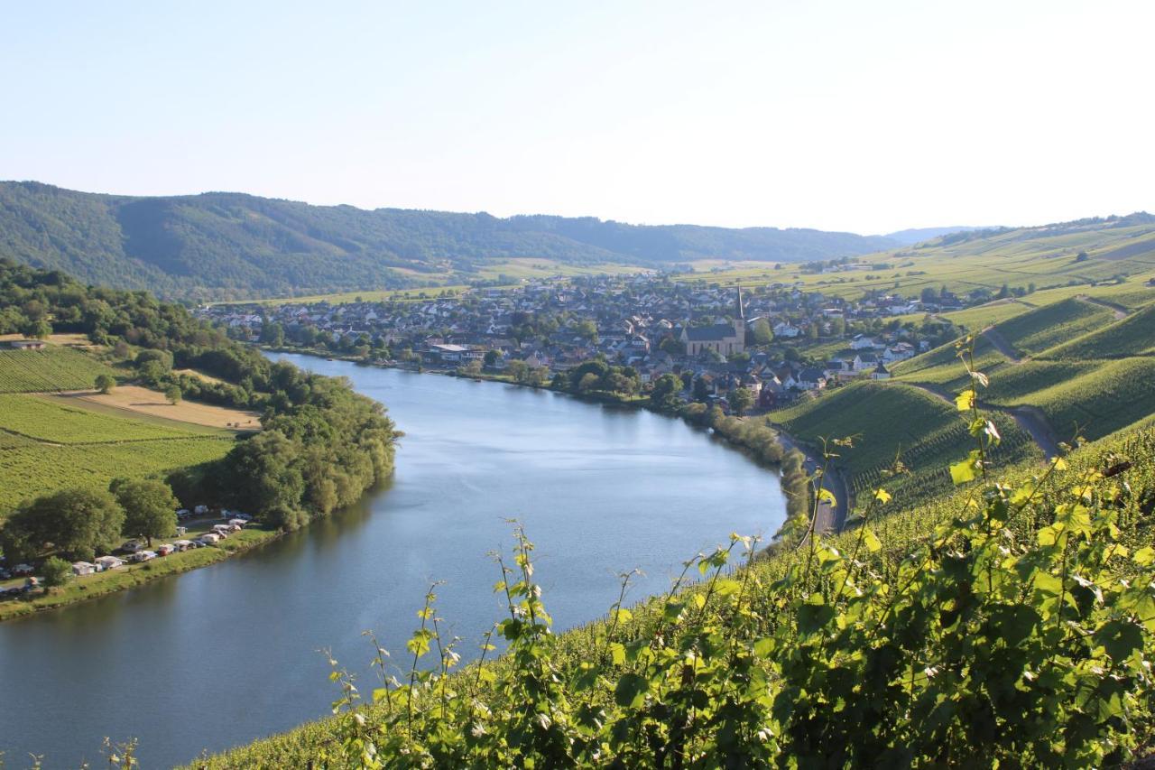 Weingut Markus Junglen Kröv المظهر الخارجي الصورة